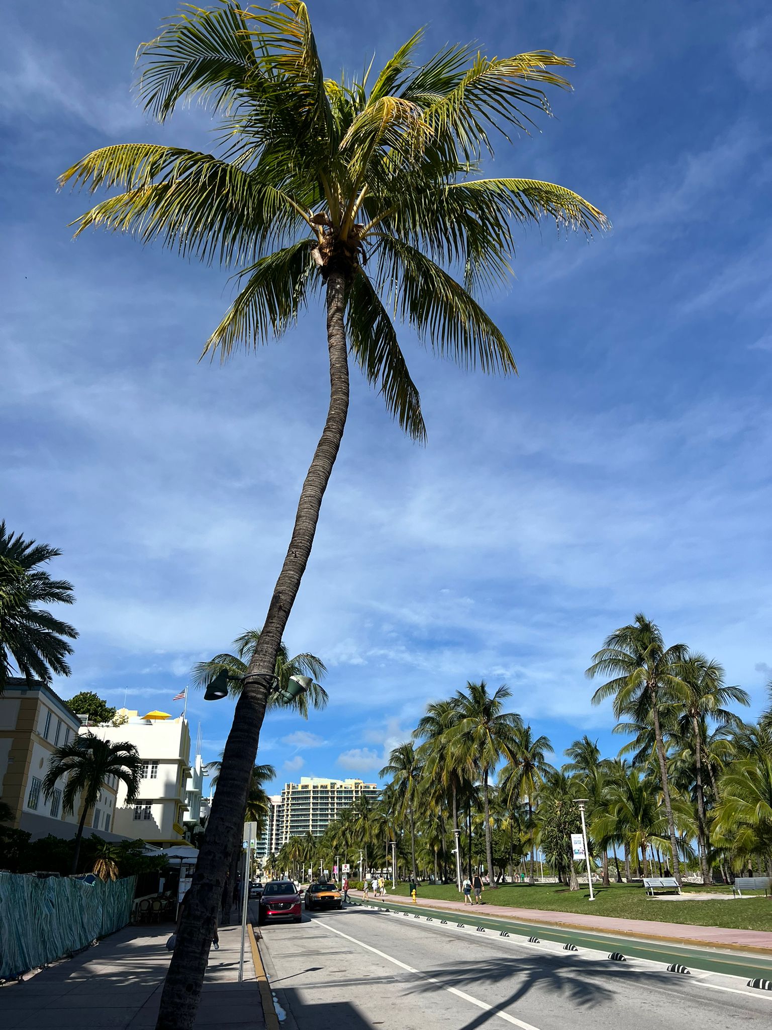 Voyage d'étude - Miami